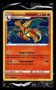 Delivery Charizard | eBay