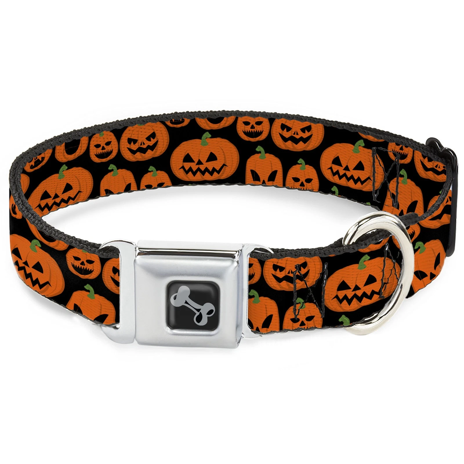 Dog Collar Bone Jack-o'-Lantern Pumpkin Expressions Black/Orange Sma (US IMPORT)