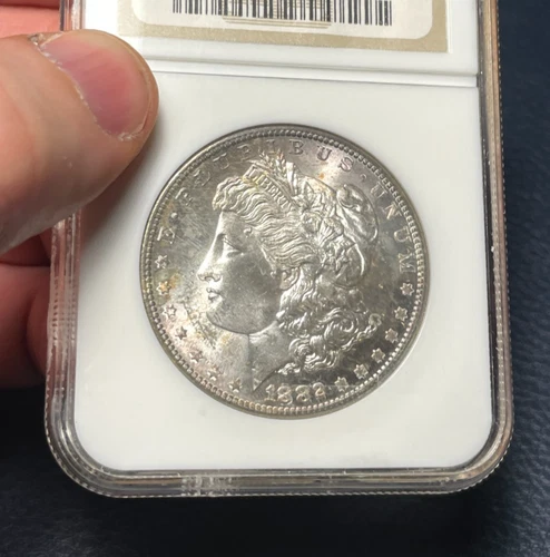 Morgan Dollar:  1882 S.  NGC MS 65.  Rim toning.  Frosty!   (see video!)