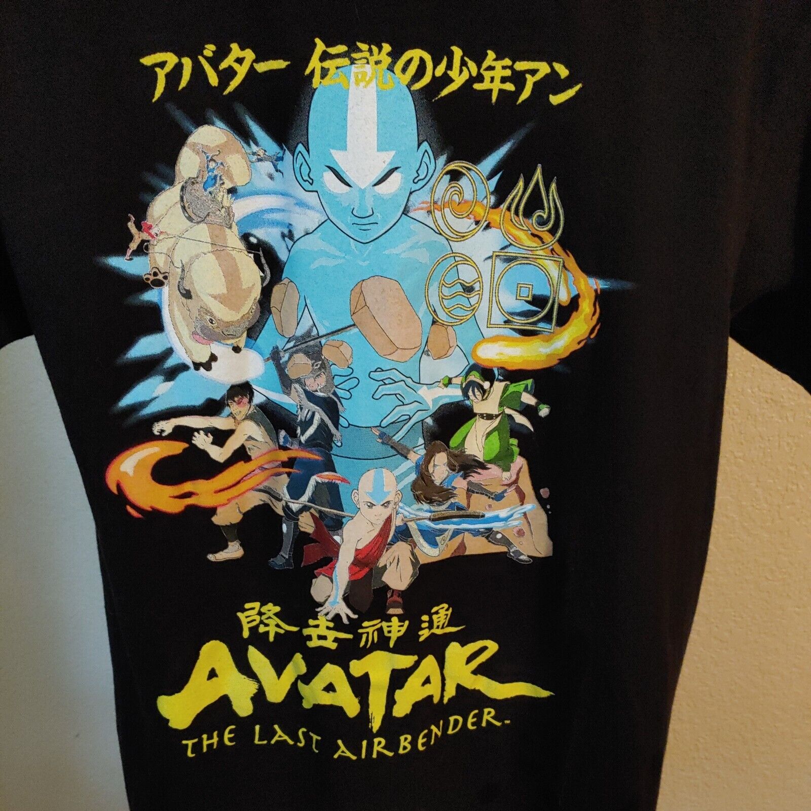 Avatar the last Airbender plaque medium T-shirt nickelodeon Earth