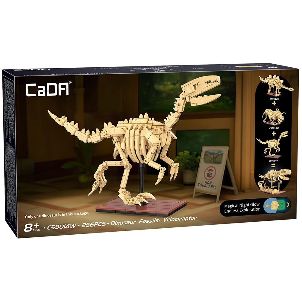 CaDA Dinosaur Fossils: velociraptor C59014W NEW GHC21 - Image 9