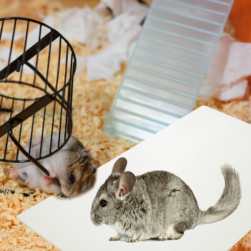 SilverChry Kühlplatte Aluminium 30x20cm - Pet Cooling Mat Für Haustiere Im Sommer