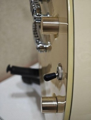 Ibanez Arz400 Gold Full Coverd Custom 24F Safe delivery from Japan