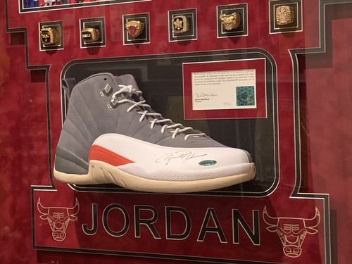 michael jordan 12s