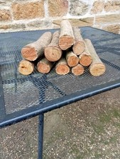 Eleven  Pieces Of Hardwood For Wood Turning Air Dried For Twelve Months 