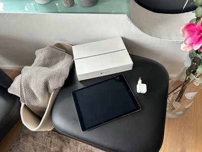 Apple iPad Pro 32GB Wi-Fi 12,9 Zoll Space Gray Grau mit OVP mit USB Power Adapte
