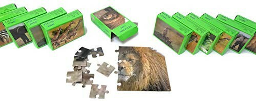 Party Favors for 12 Kids Animal Safari Pencils Notebooks Bracelets Puzzles&nbsp;