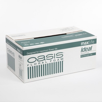 OASIS  SCHAUMSTOFFSTEINE IDEAL MAXLIFE WET FLORAL IN MENGEN VON 2,5,10 ODER 20,s