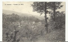 VINTAGE POSTCARD SMALL SIZE - FOREST (VC) - TRAVELLED - SEE PHOTOS