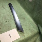 Door trim strip
