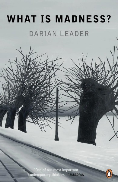 What Is Madness? | Darian Leader | Taschenbuch | Kartoniert / Broschiert | 2012-image