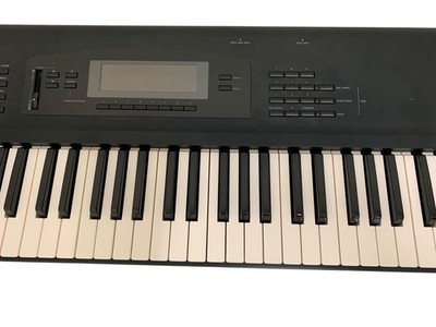 Korg 01/wfd 61key Music Workstation Synthesizer Battery Backlight