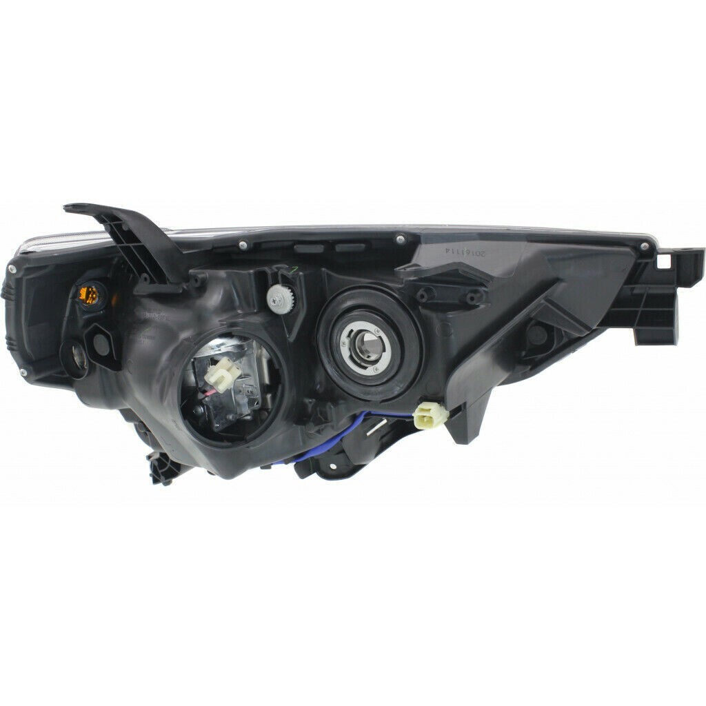 Picture 2