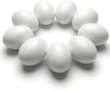 SallyFashion Wooden Fake Eggs for Nesting Boxes, 9 PCS White Easter Eggs for