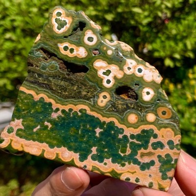 94G Natural Ocean Jasper Crystal SliceLarge Specimen Healing- Museum