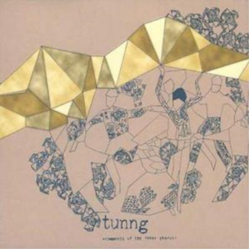 Tunng Comments of the Inner Chorus (CD) Album