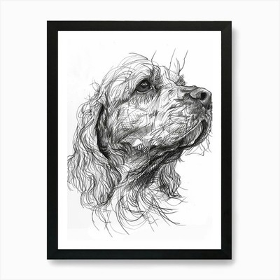 Clumber Spaniel Hund Linie Skizze 2 A gerahmtes Wandbild Poster Leinwanddruck Bild