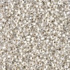 Miyuki Seed Beads 11/0 - Matte Silver Lined Crystal