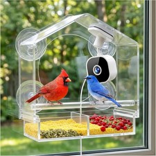 Smart Window Bird Feeder with 2K HD Auto-Capture Video Camera | Strong suction c