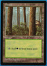 Forest (APAC a Japan Promo) NM MTG MAGIC CARD (506321) ABUGames