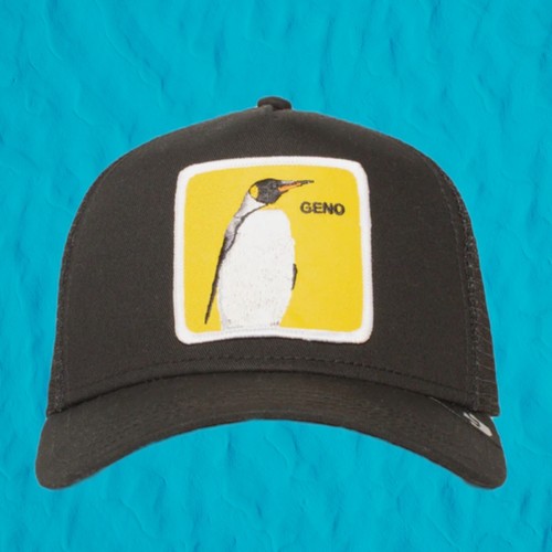 goorin bros cap penguin