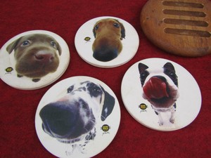 funny dog coasters