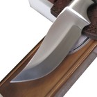Beautiful HORN Handle HUNTING KNIFE Tactical Skinner Fixed Blade 8 3/8" — photo 2