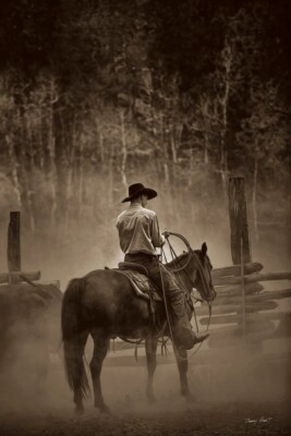 Lost Canyon Cowboy, Barry Hart, Art Print Poster 14'' x 11''        2003