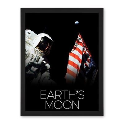 NASA Our Solar System Moon Apollo 17 Moonwalk American Flag Framed Art 18X24