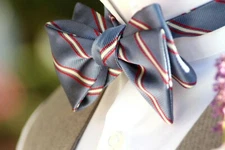 Camellucci Men's bow tie Silk Self-tied Gift Box Blue StripedS443