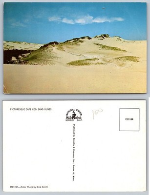 Cape Cod Sand Dunes Massachusetts Postcard