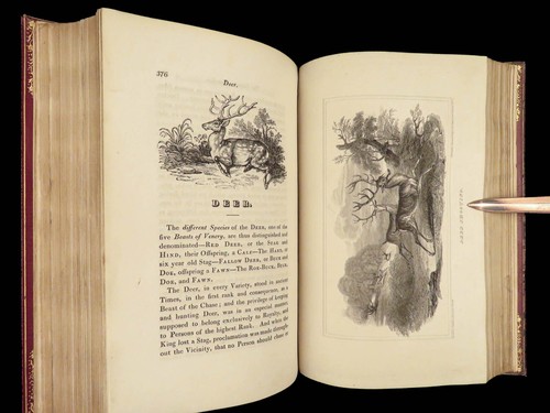 1818 HUNTING 1ed Field Sports Fishing Horse & DOG Fowling Racing FINE BINDING - Picture 20 of 24