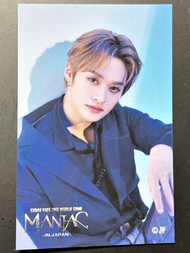 Stray Kids SKZ 2nd World Tour MANIAC Lottery Member Official