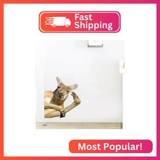 Strong Kangaroo Wall Decal,Funny Animal Window Sticker,Weird Gift for Friends