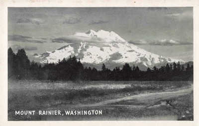 Mount Rainier WA Washington, Scenic View, Vintage Postcard