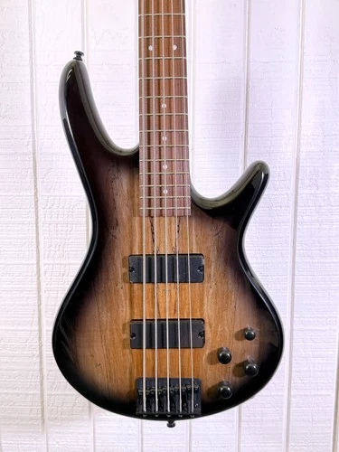 Ibanez GSR205SM Natural Gray Burst
