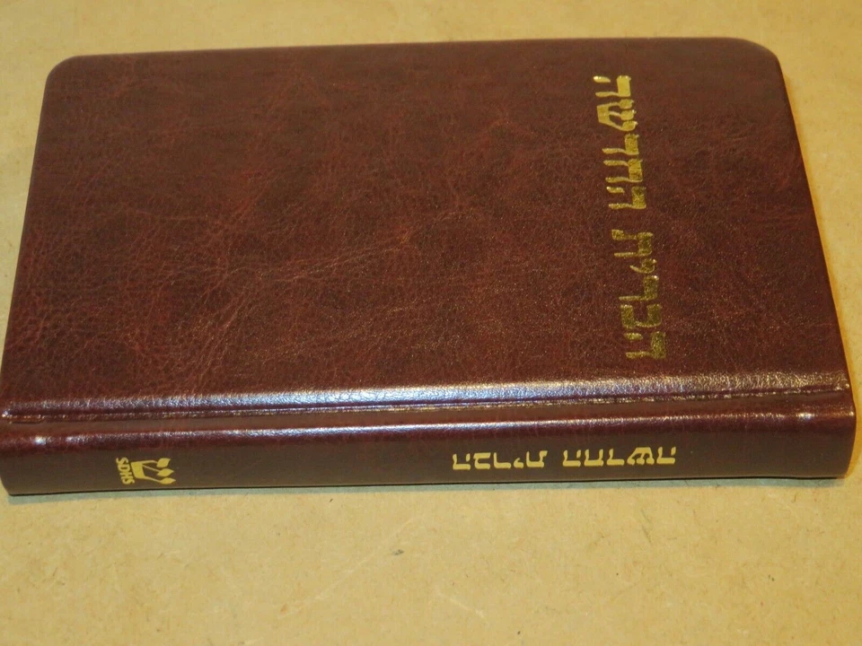 IL NUOVO TESTAMENTO IN EBRAICO Salkinson Ginsburg Vangeli ebraici Lettere Paolo - Immagine 4 di 4