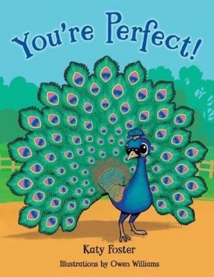 Katy Foster You're Perfect (Taschenbuch)