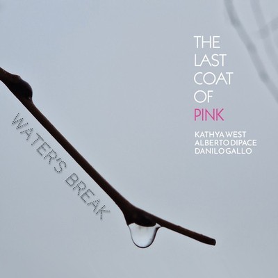 CD: K.WEST/A.DIPACE/D.GALLO (The Last Coat of Pink) «Water s Break»