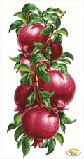 DIY Bead Embroidery Kit Juicy pomegranate Fuits Craft Art Unique Gift