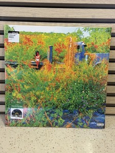 Jhene Aiko Vinyl Record | eBay