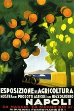 ITALY 1933 NAPOLI FARM ORANGE PLANTATION AGRICULTURE SHOW VINTAGE POSTER REPRO
