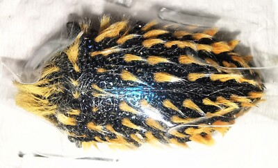 標本 RSA Julodis viridipes 27mm Buprestidae Julodis viridipes (?) 27-28mm A1 from RSA - #1902 | eBay