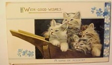 US CAT TUCKS CHRISTMAS GREAT BRITAIN FOLDER