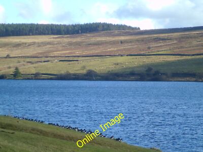 Photo 12x8 Watch the birdie Leighton/SE1679 A large flock of oystercatche c2014
