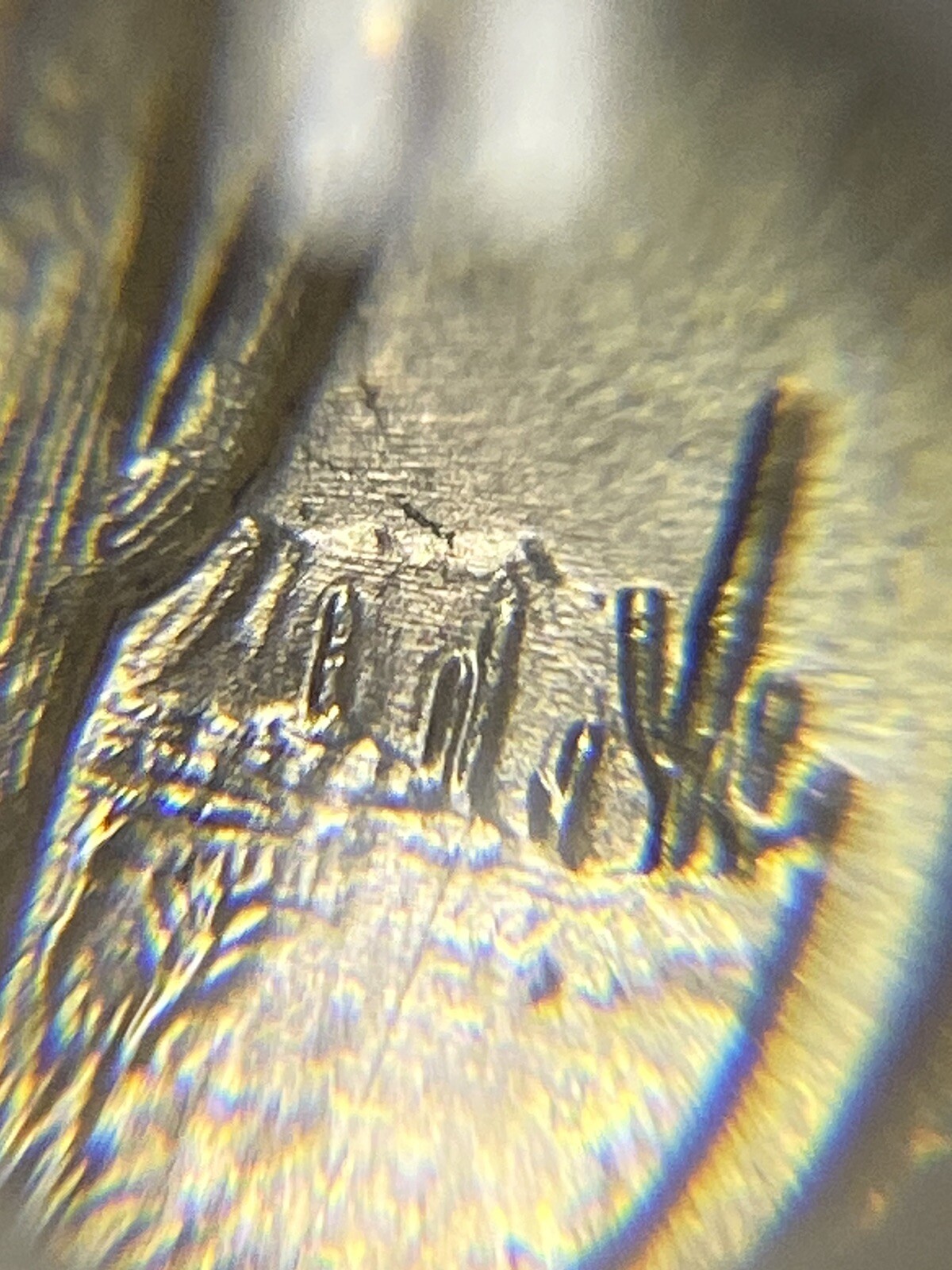 Picture 17 of 19