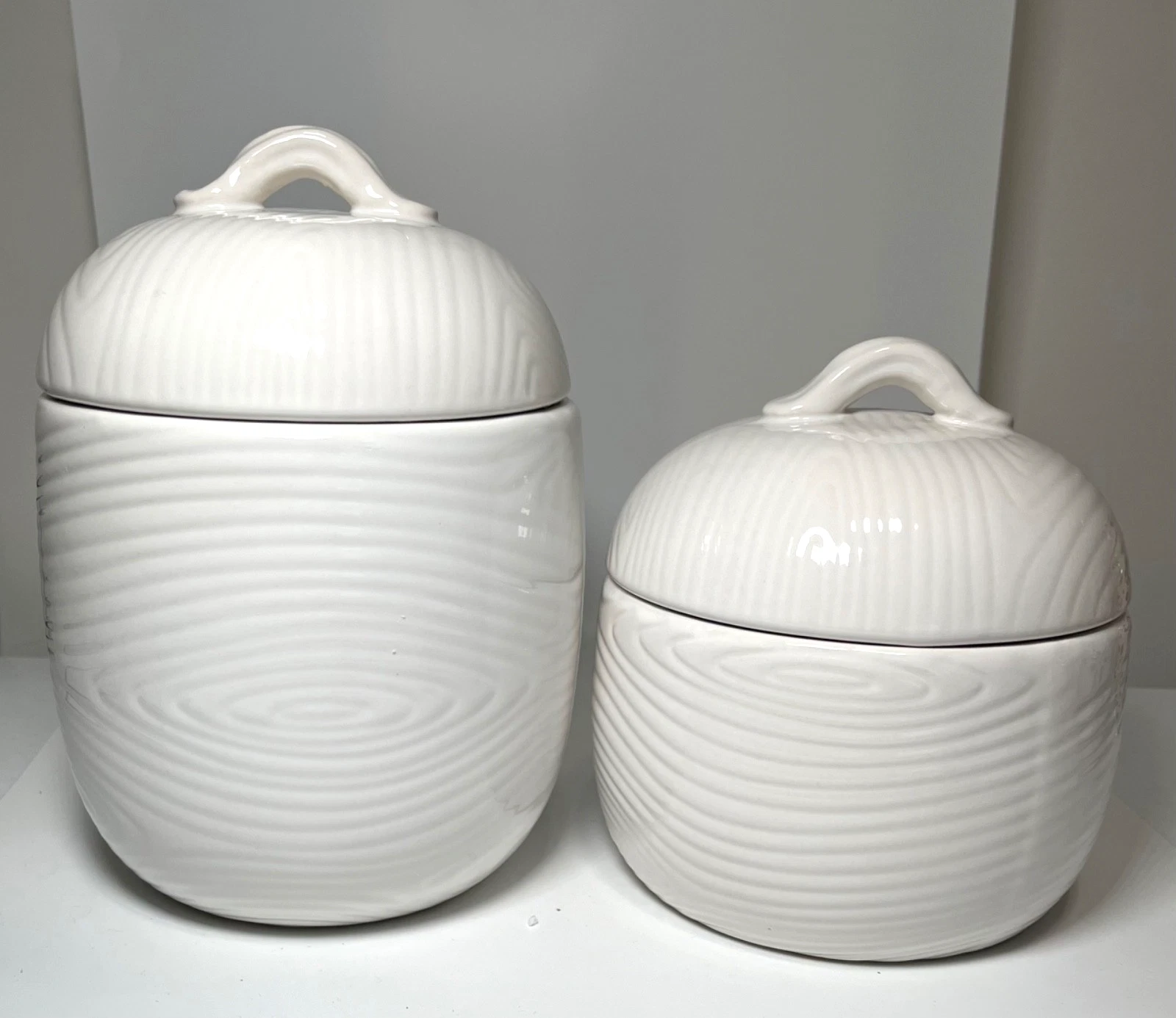 Brand NEW Temp-tations by Tara Ceramic White Woodland Canisters w/Lids SET/2
Opens in a new window o