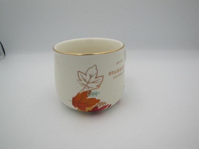 Foto 5 di 10