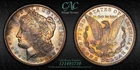 CACG MS-65 1882-S Morgan Silver Dollar, Strongly Mirrored, Richly Toned Gem!