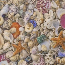 SALTWATER Shell 39570 11 by Cathe Holden Quilt fabric by the yard.